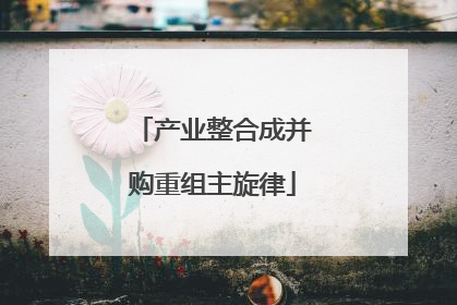 产业整合成并购重组主旋律
